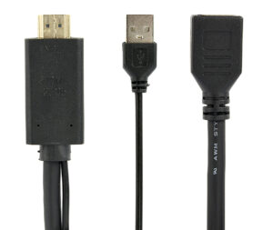 HDMI naar DisplayPort converter 4K (actief)