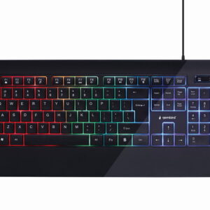 Multimedia toetsenbord met ''Regenboog'' backlight US-layout